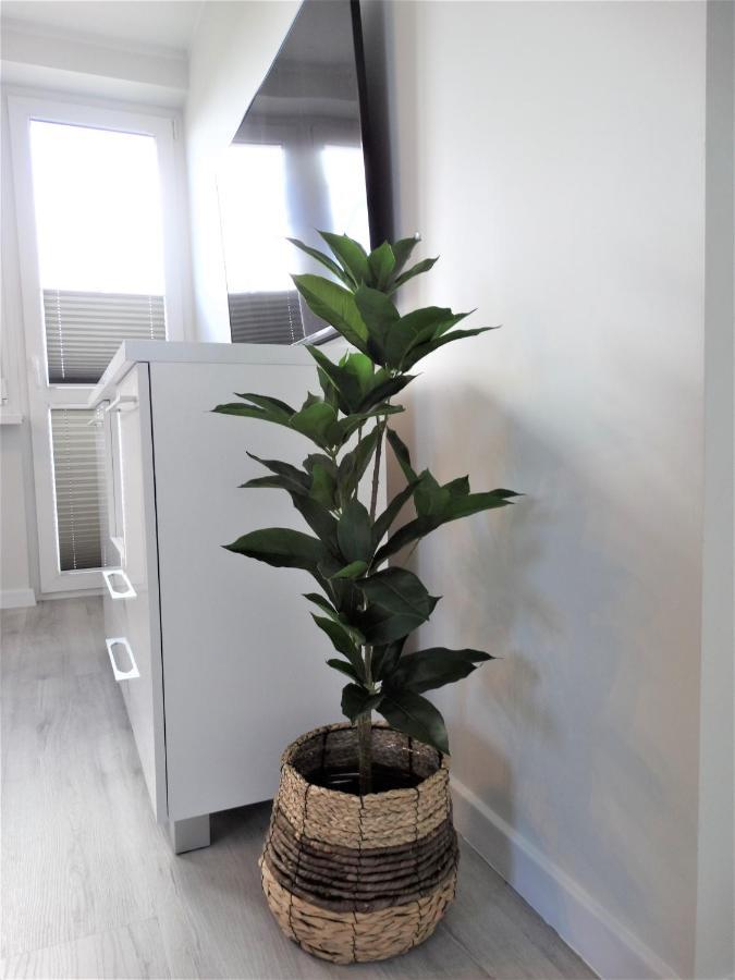 Apartament Centrum 斯维诺乌伊希切 外观 照片