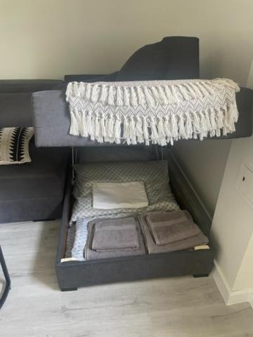 Apartament Centrum 斯维诺乌伊希切 外观 照片